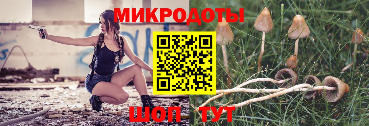 Галлюциногенные грибы Psilocybine cubensis  Вход с VPN  Улан-Удэ 
